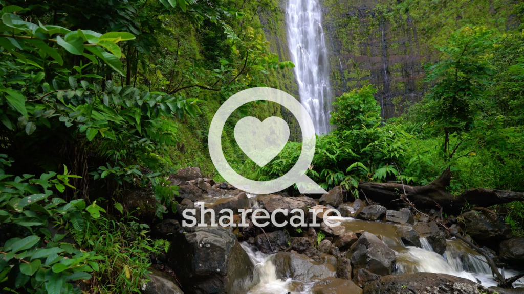 Sharing care, growing impact: 615,000 trees planted by our team and counting