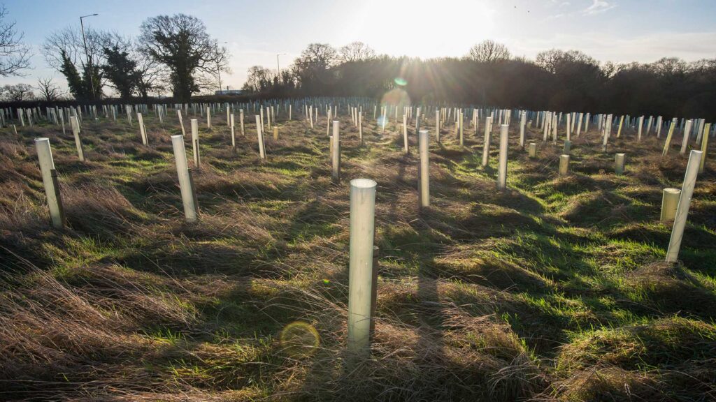 Celebrating Earth Day and over 750,000 trees planted by our team since 2016